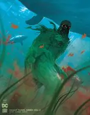 Swamp Thing Green Hell (Vol 1) #2 (Of 3) Cvr B Christian Ward Var Nm 1