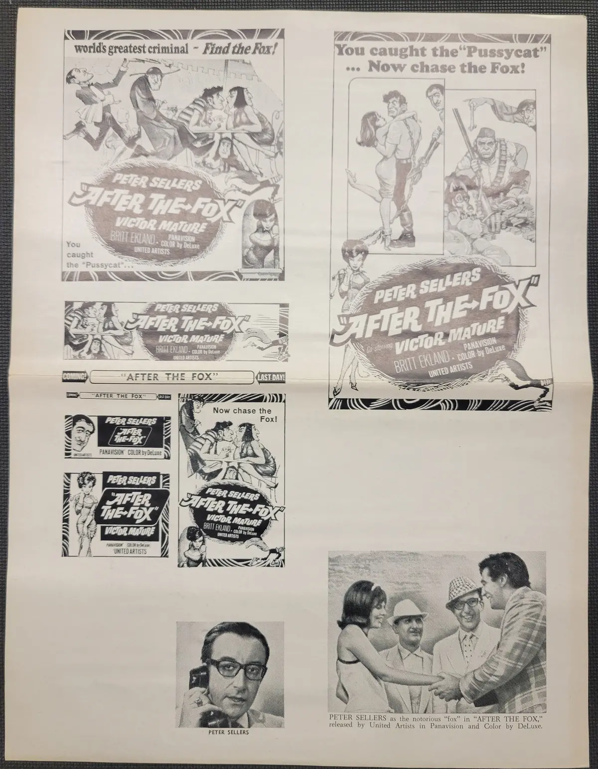 "After The Fox" Movie Ad Clip Art Print 1