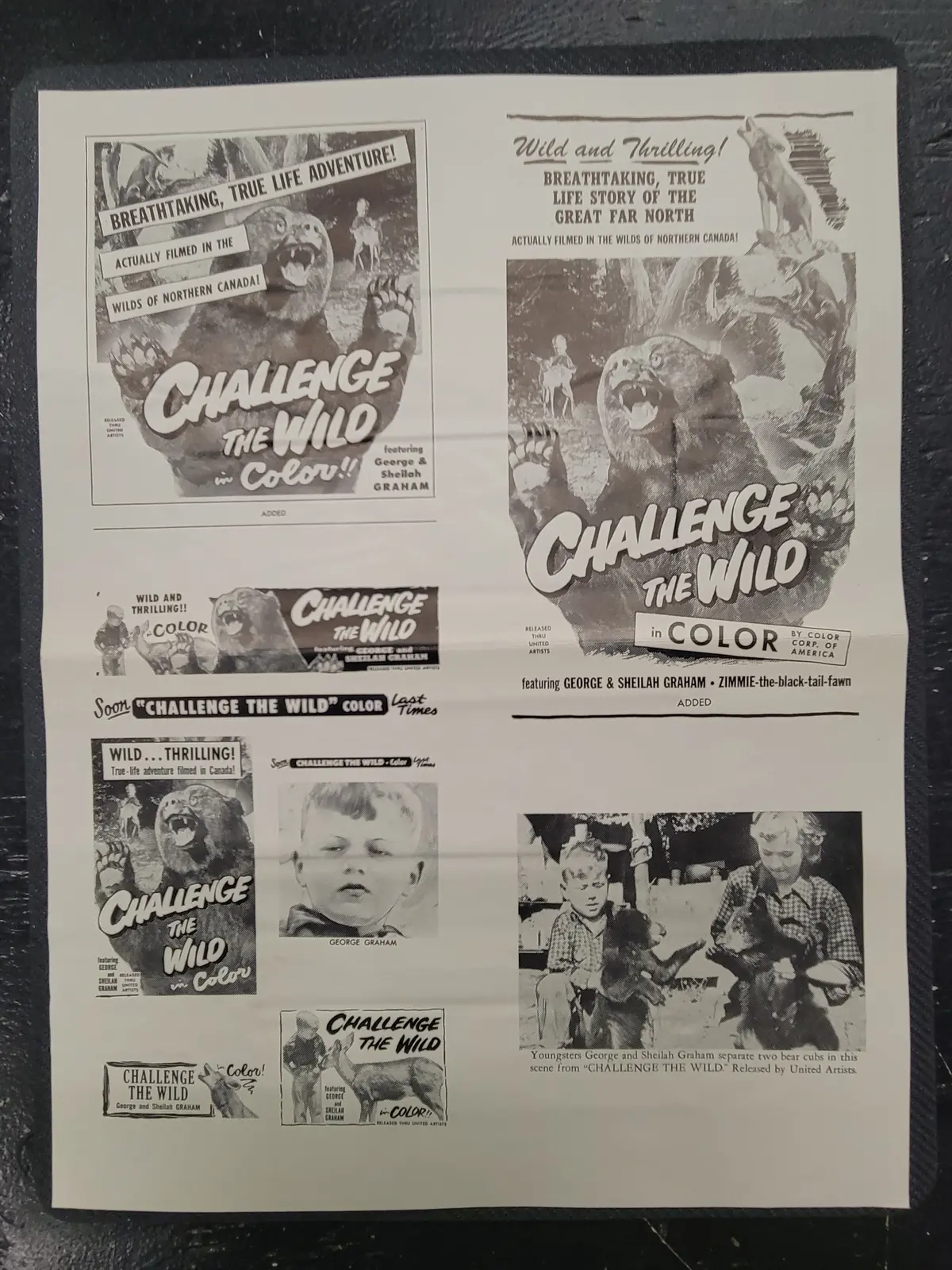 "Challenge The Wild" Original Movie Ad Mat Mold And Ad Clip Art Print 1