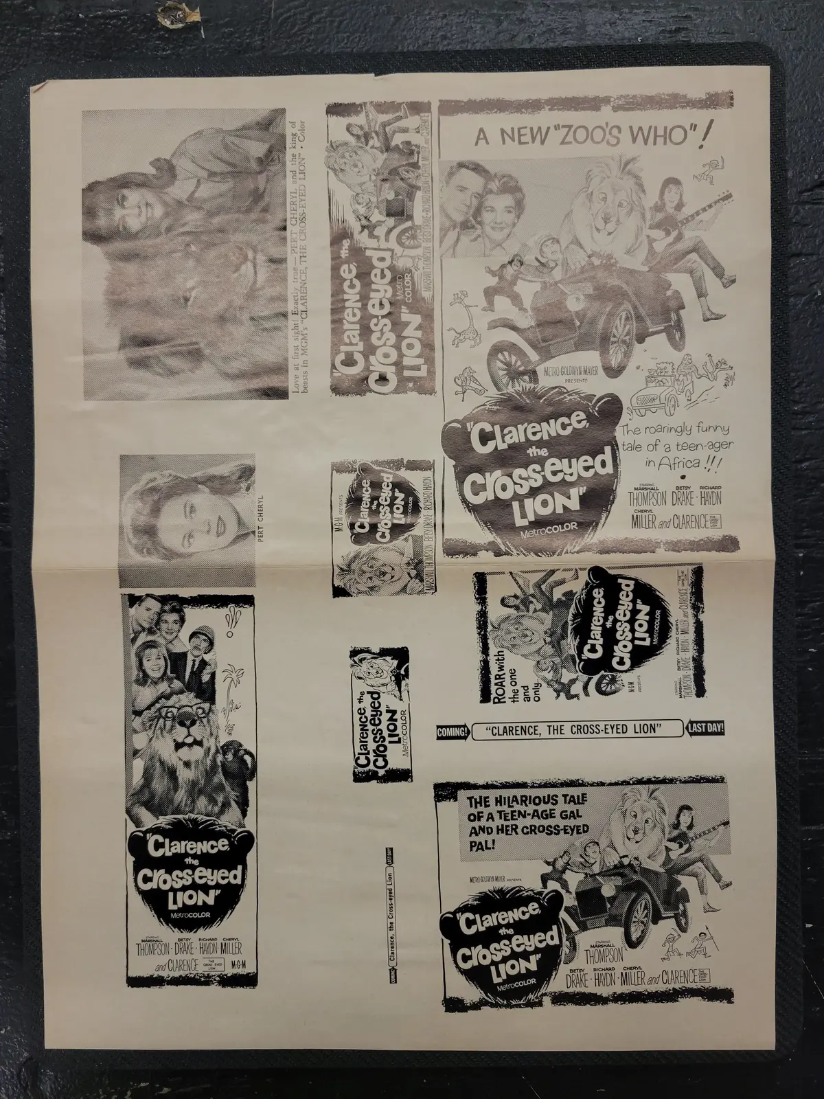 "Clarence The Cross-Eyed Lion" Original Movie Ad Clip Art Print 1
