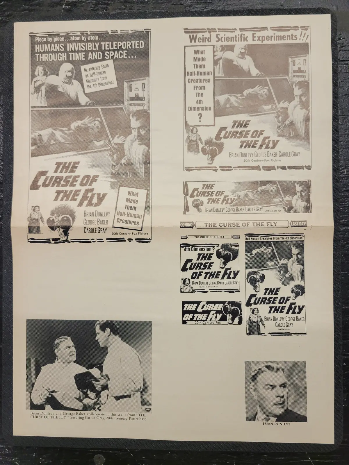 "Curse Of The Fly" Original Movie Ad Clip Art Print 1