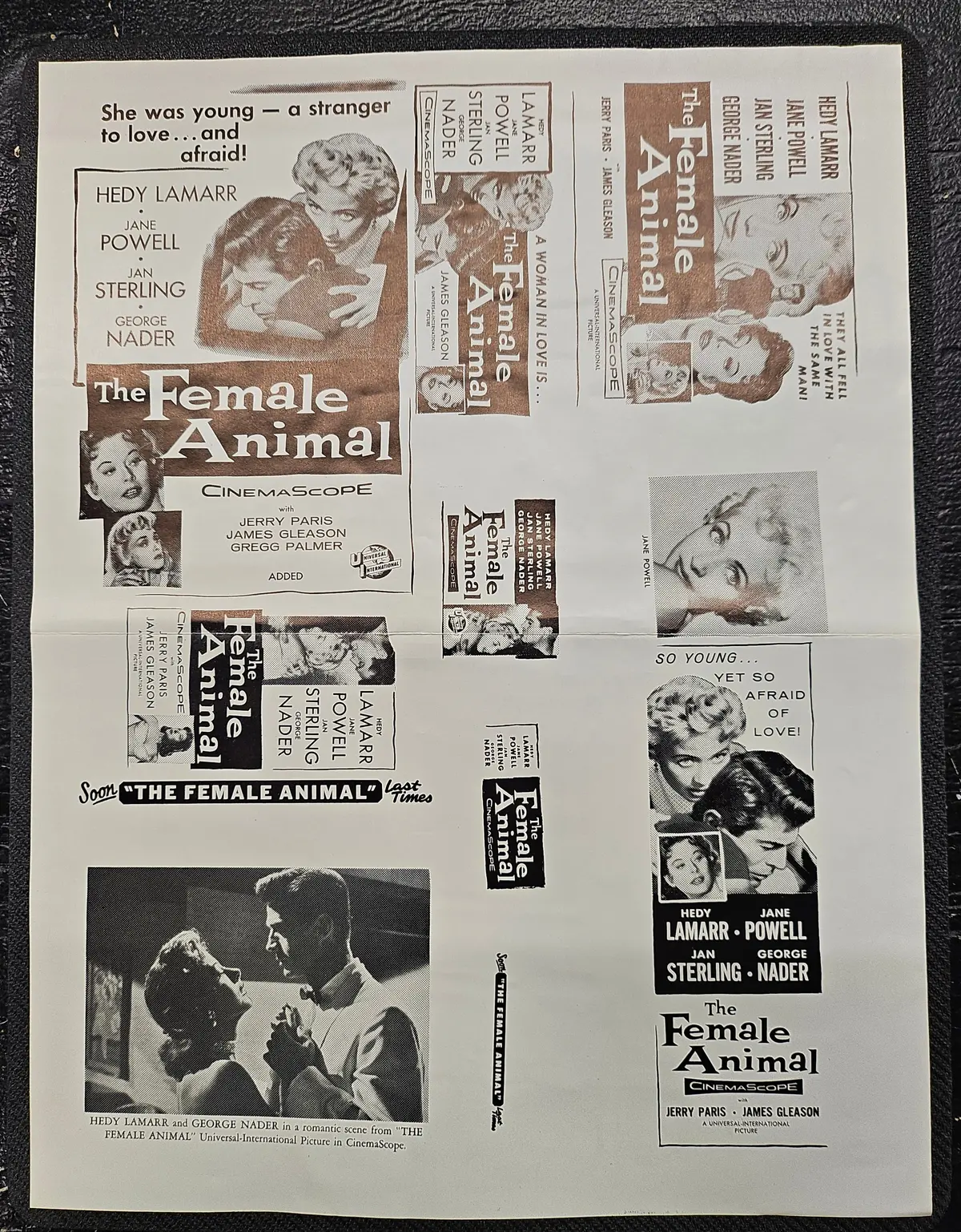 "The Female Animal" Original Movie Ad Clip Art Print 1