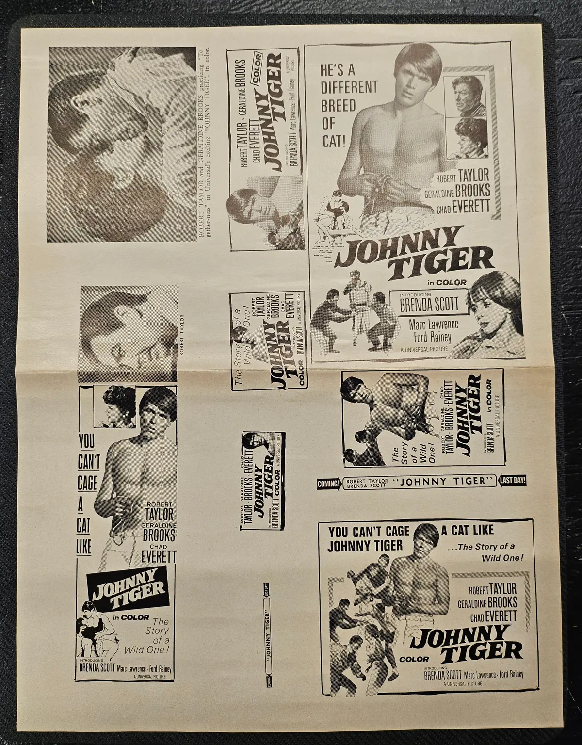 "Johnny Tiger" Original Movie Ad Clip Art Print 1