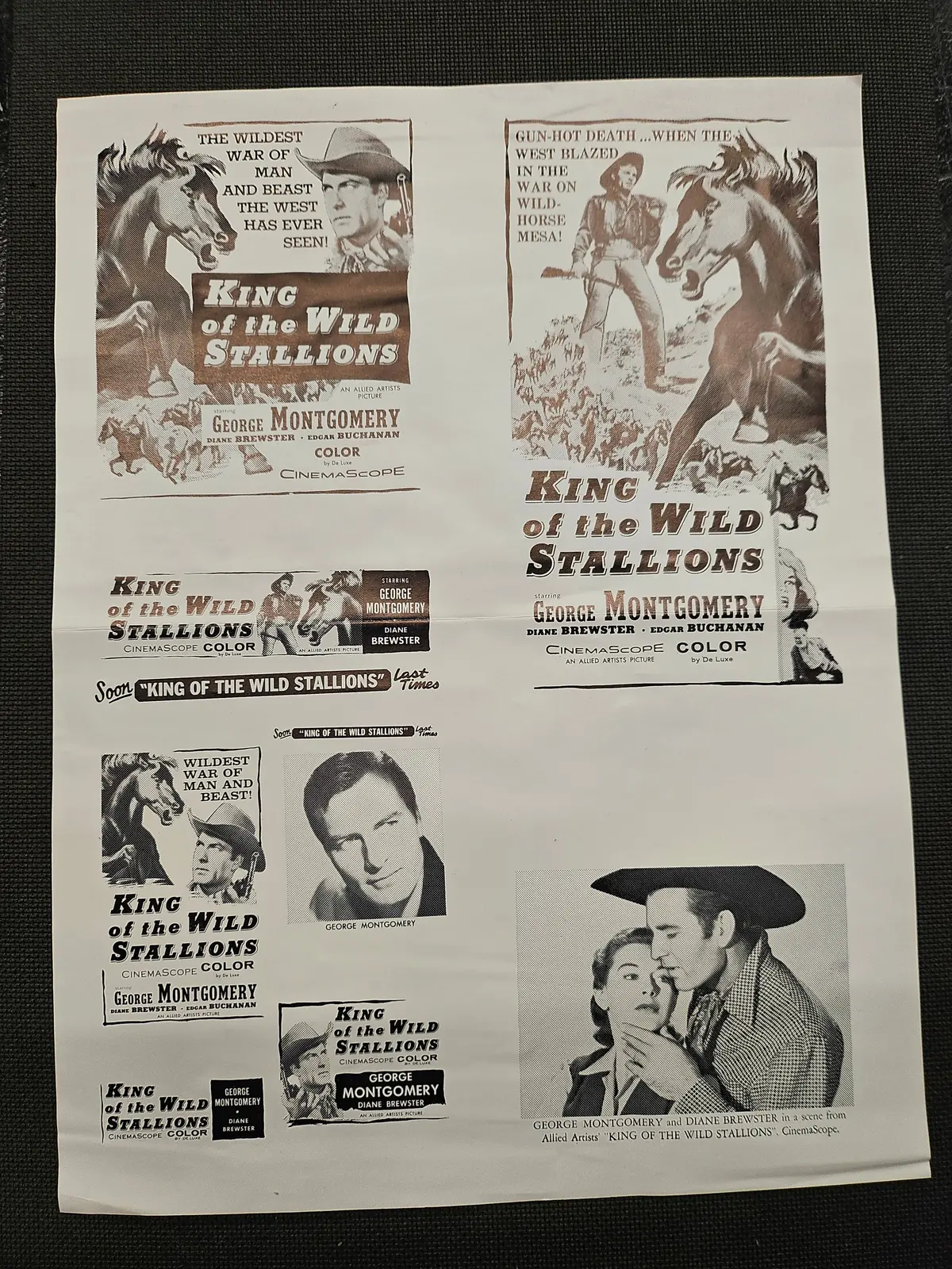 "King Of The Wild Stallions" Original Movie Ad Clip Art Print 1