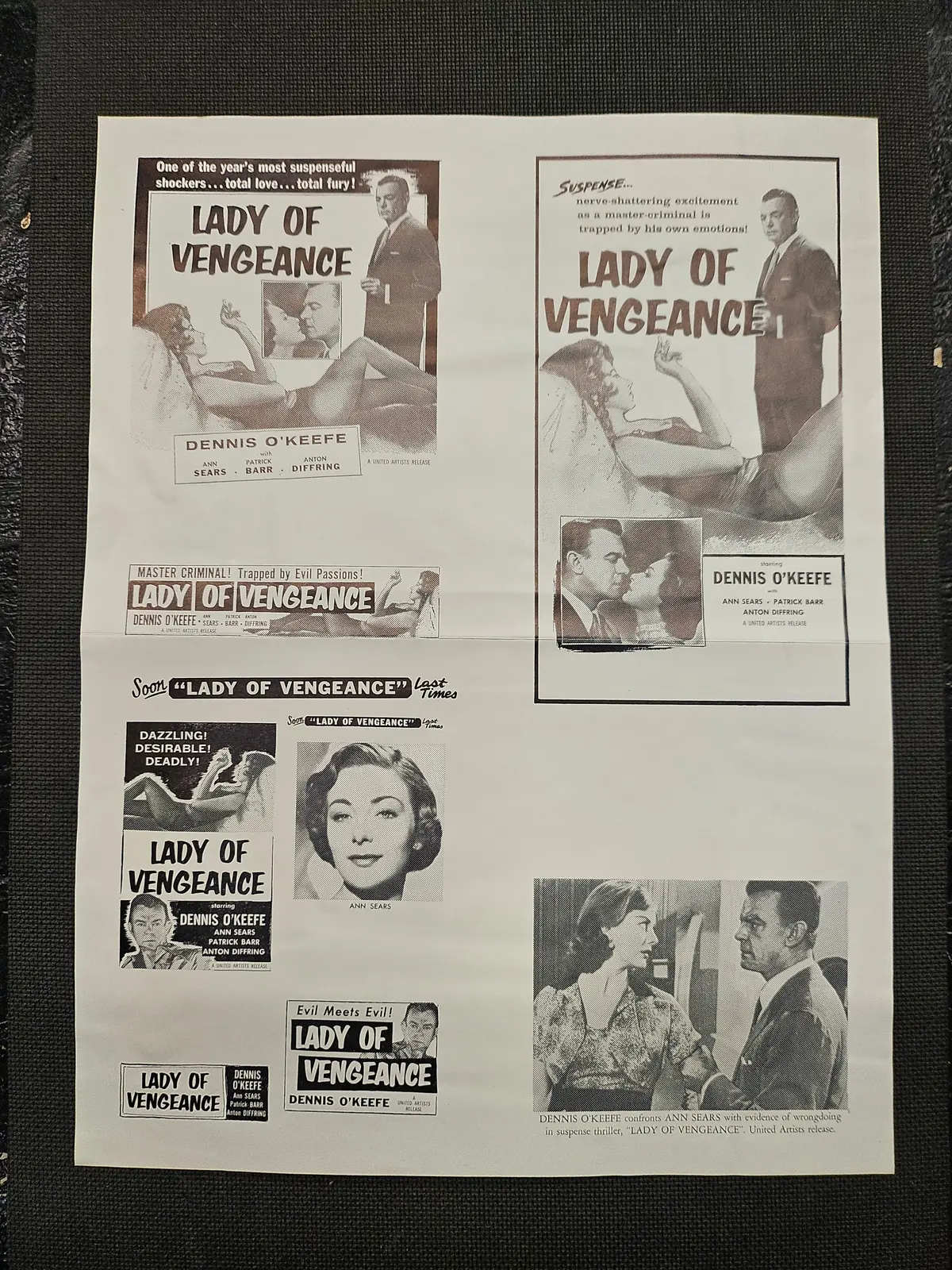 "Lady Of Vengeance" Original Movie Ad Clip Art Print 1