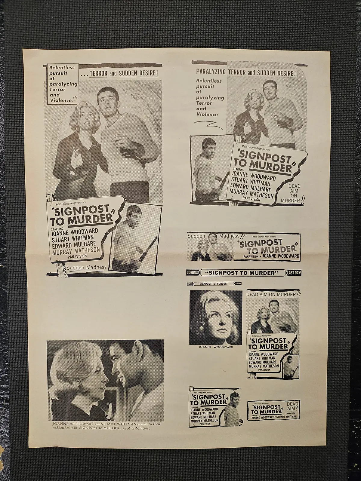"Signpost To Murder" Original Movie Ad Clip Art Print 1