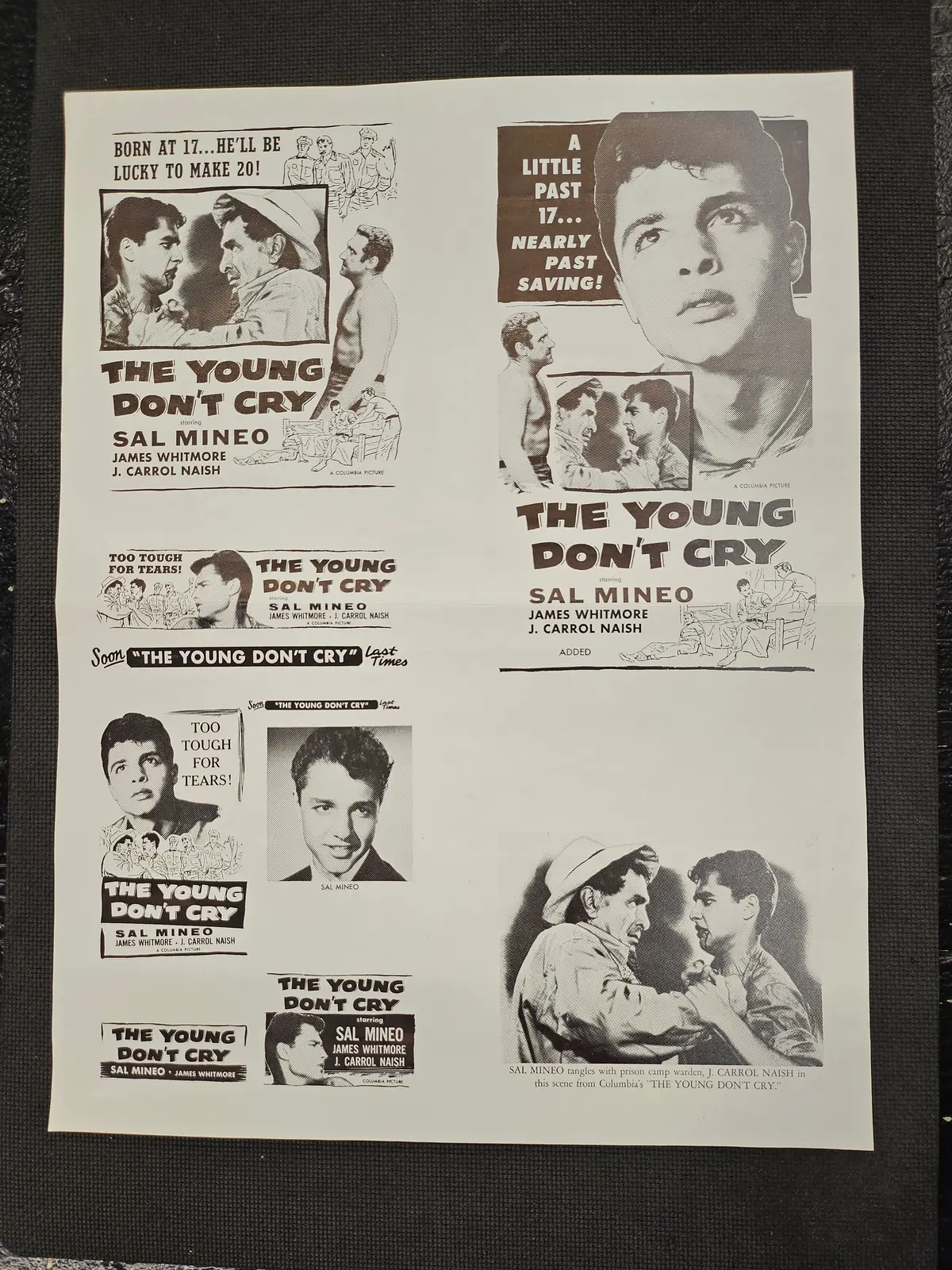 "The Young Don't Cry" Original Movie Ad Clip Art Print 1