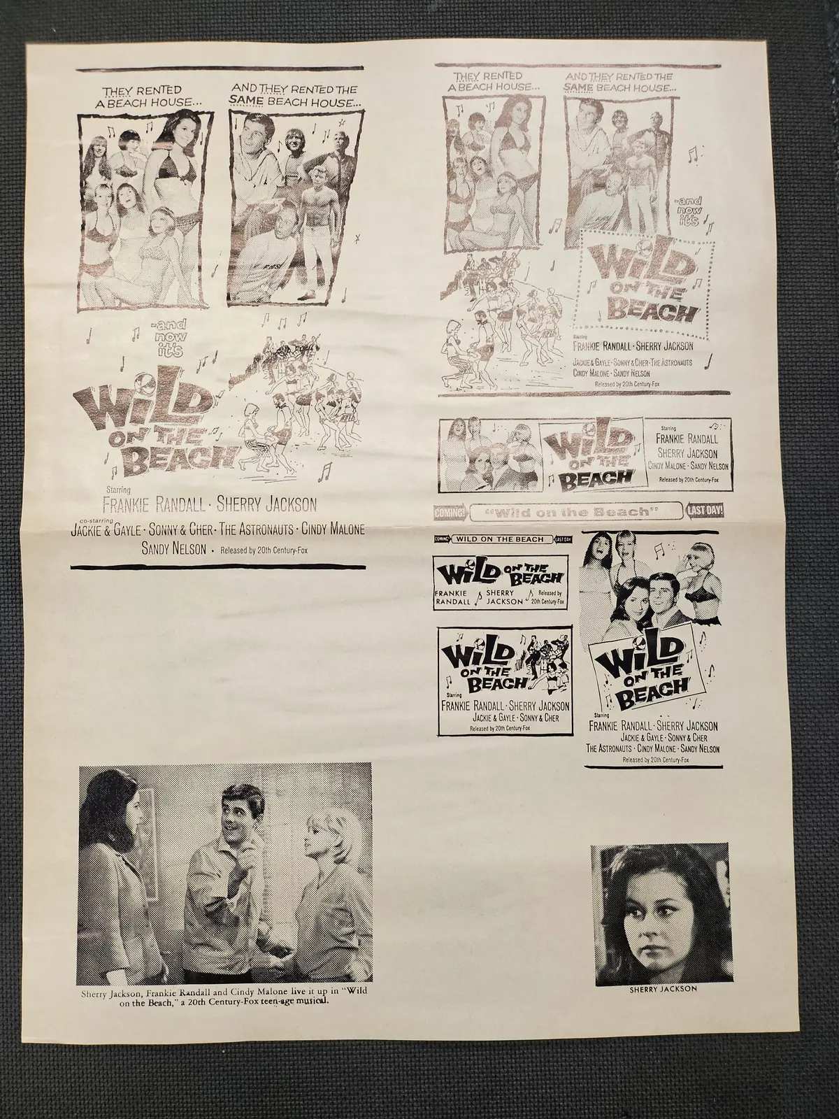 "Wild On The Beach" Original Movie Ad Clip Art Print 1
