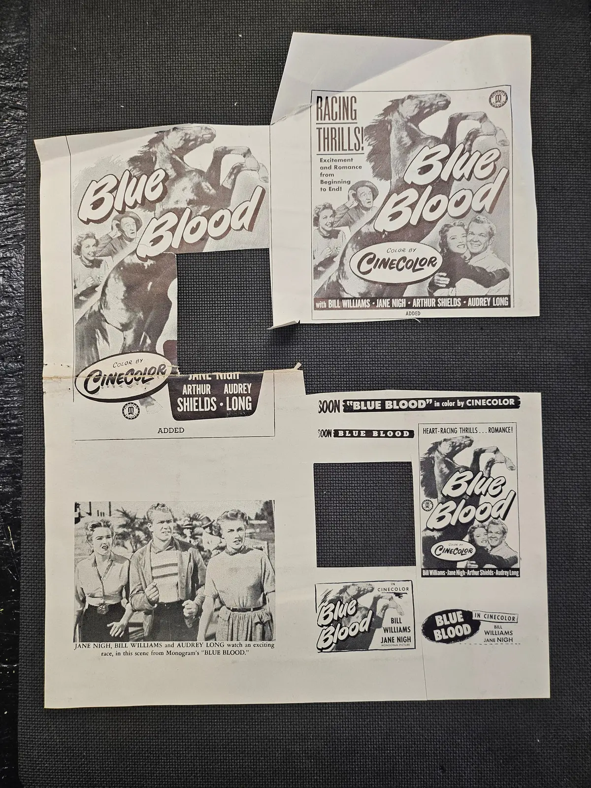 "Blue Blood" Original Movie Ad Clip Art 1