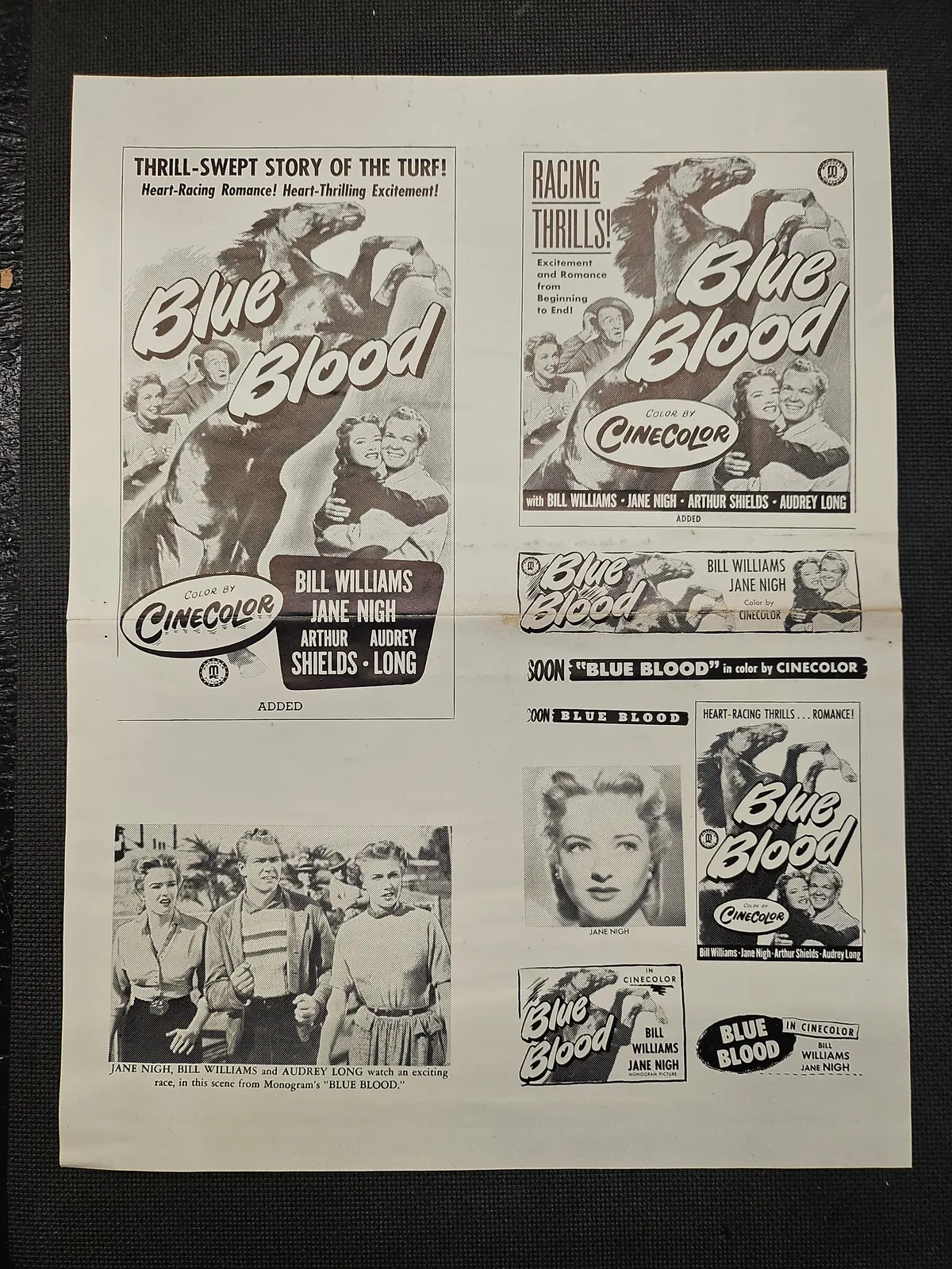 "Blue Blood" Original Movie Ad Clip Art And Art Print Mold 1