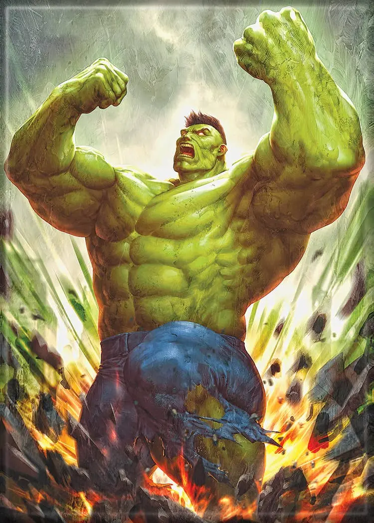 Marvel Hulk Nakayama Magnet 1