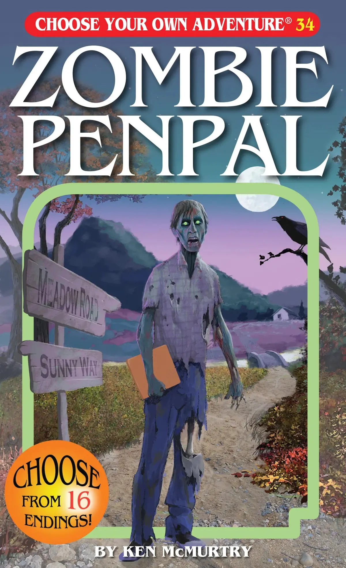 Choose Your Own Adventure Zombie Penpal Sc 1