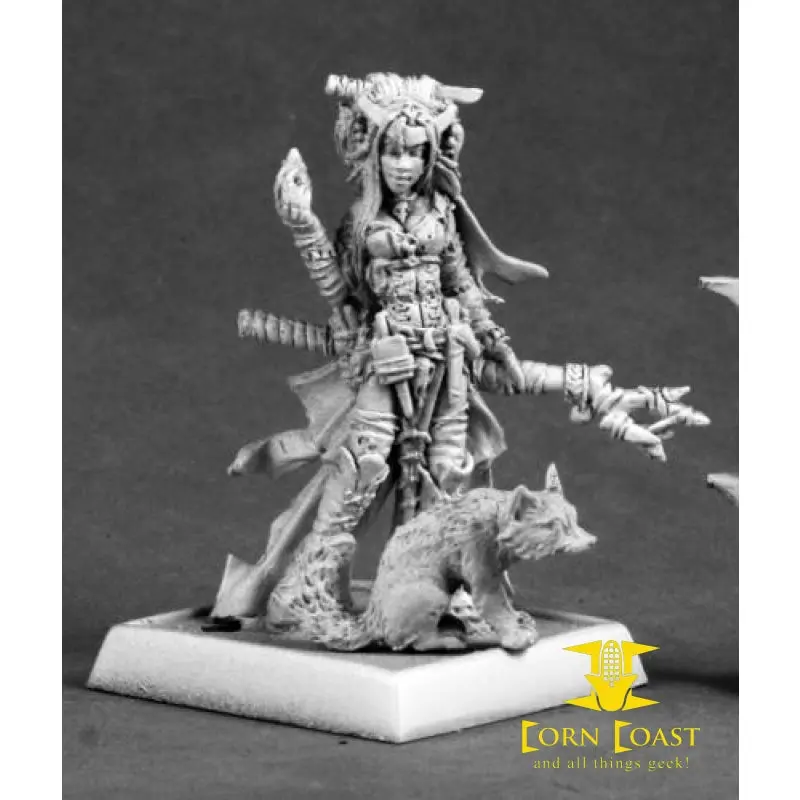 Feiya Iconic Witch And Fox Familiar Pathfinder Metal Mini 1
