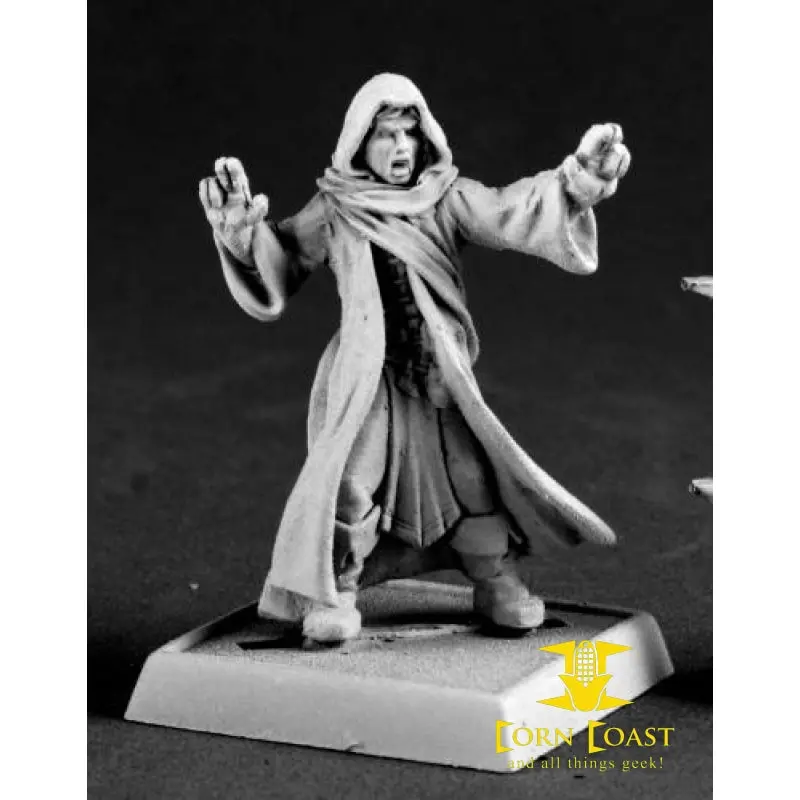 Pathfinder Reaper Velmarius Elazarin Metal Mini 1
