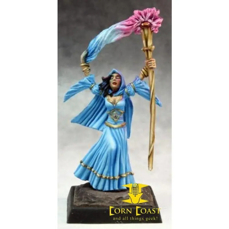 Arcanamirim Wizard Pathfinder Metal Mini 1
