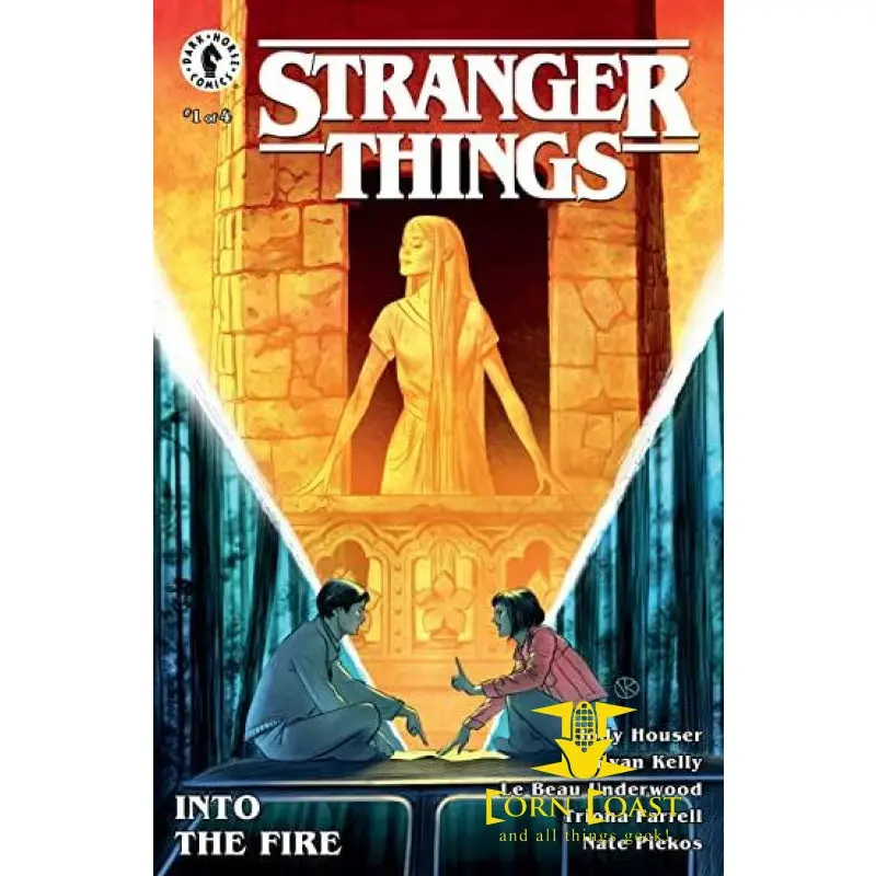 Stranger Things: Into The Fire #1 (Of 4) Nm 1