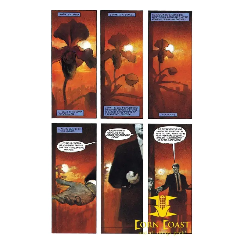 Black Orchid (1988-1989) #1 Platinum Edition 2