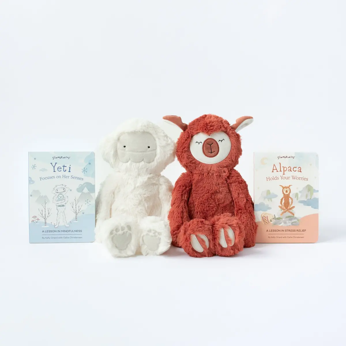 Anxiety Support Set 1