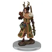 D&D Icons Realms Fig Female Human Druid 1