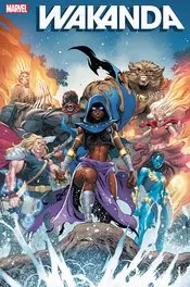 Wakanda (Vol 1) #3 (Of 5) Coello Var Nm 1
