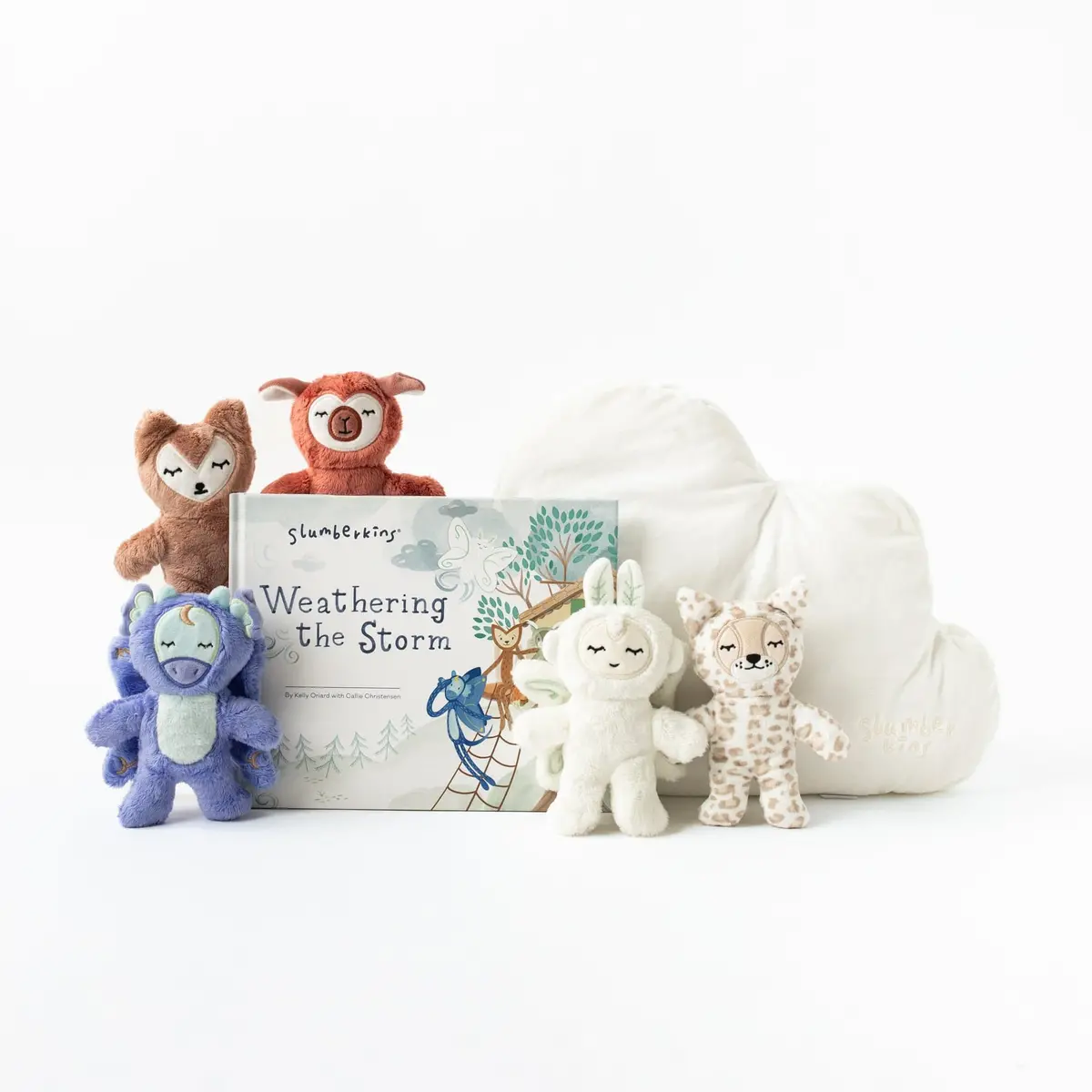 Weathering The Storm Pillow Set 1