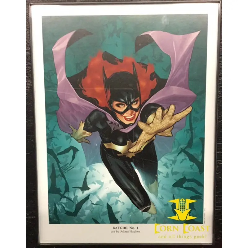 Adam Hughes Batgirl 1 Dc New 52 Portfolio Plate 2011 Framed 1