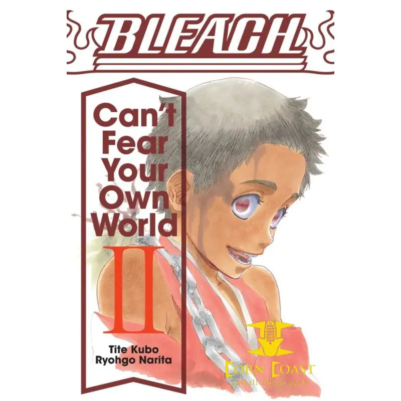 Bleach Can't Fear Your Own World Novel Volume 2 1