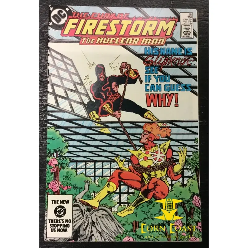 Firestorm (1982 2Nd Series) #28 Nm 1