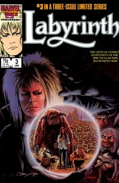 Labyrinth #3 (Of 3) Fn 1