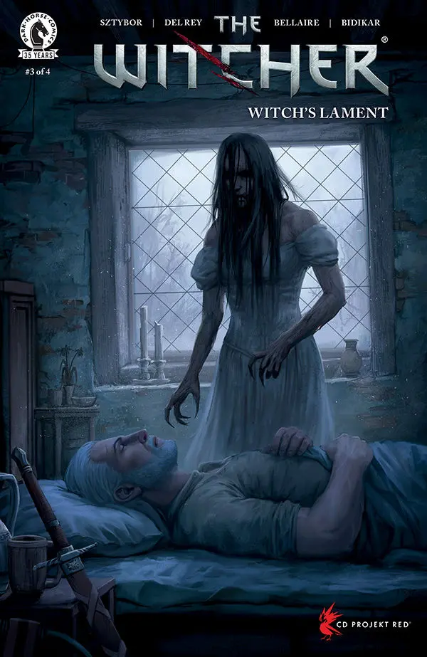 The Witcher: Witch's Lament (Vol 1) #3 Cover C Koidl Nm 1