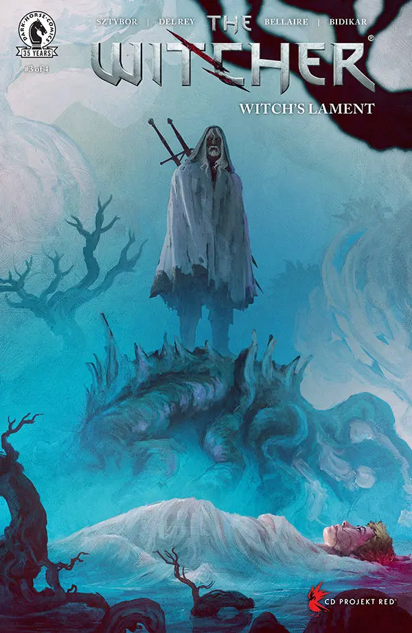 The Witcher: Witch's Lament (Vol 1) #3 Cover B Finnstark Nm 1