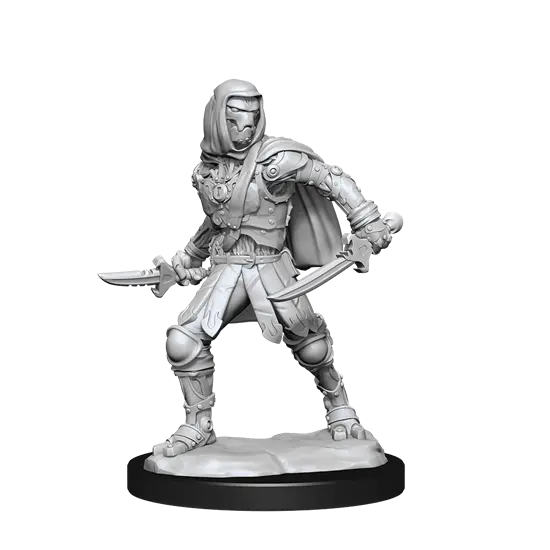 Dungeons & Dragons Nolzur’S Marvelous Miniatures: Warforged Rogue 1