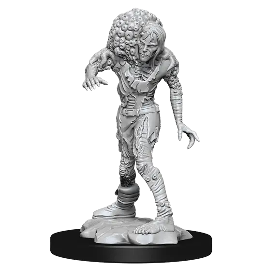 Dungeons & Dragons Nolzur’S Marvelous Miniatures: Drowned Assassin/ Asetic 1