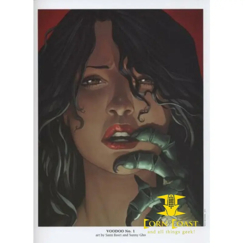 Sami Basri Voodoo1 Dc New 52 Portfolio Plate 2011 Framed 1