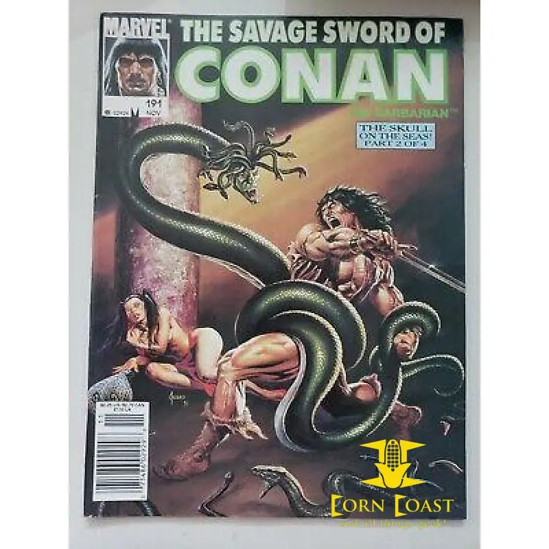 Savage Sword Of Conan The Barbarian #191 1