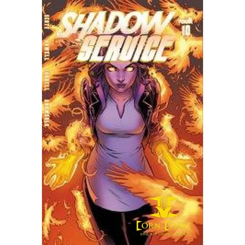 Shadow Service #10 Cvr B Isaacs Nm 1