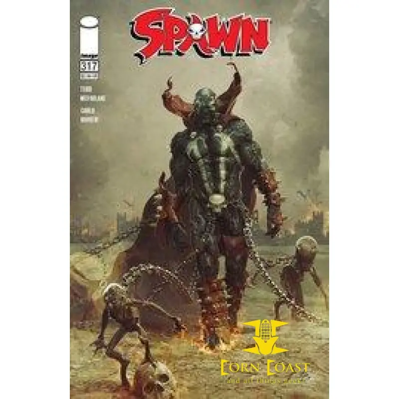 Spawn #317 Cvr A Barends Nm 1