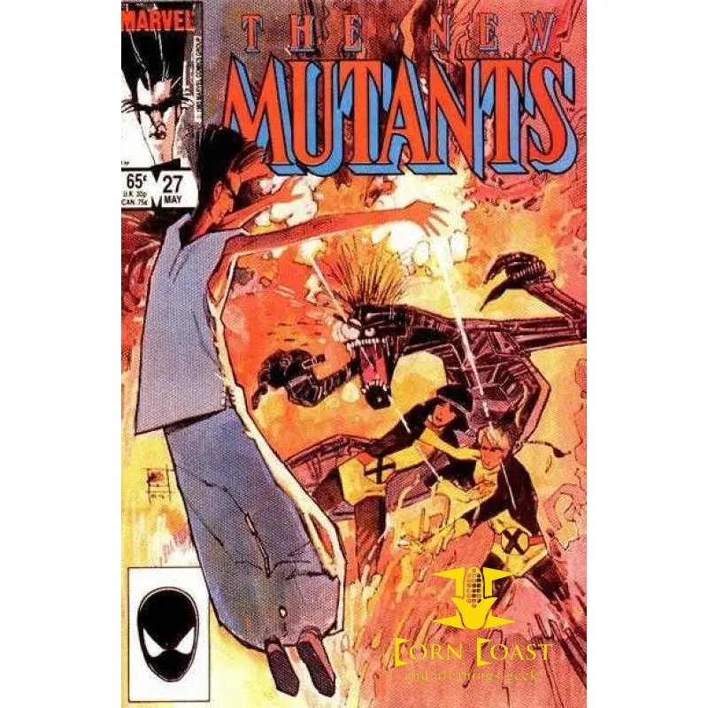 The New Mutants #27 Nm 1