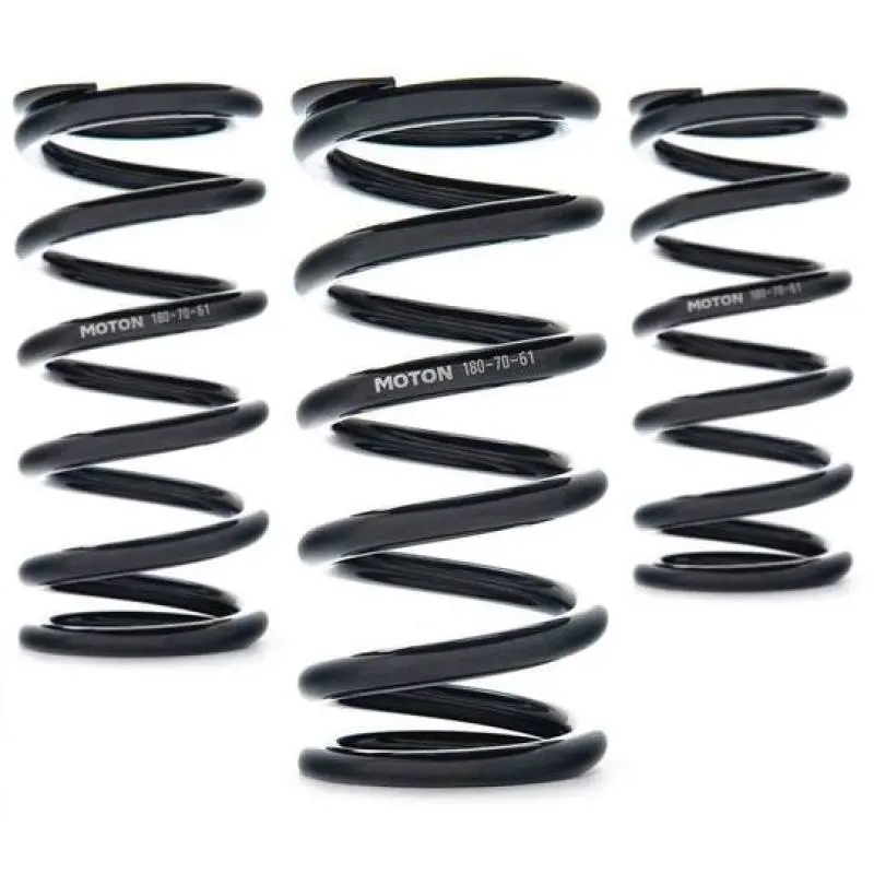 Ast Linear Race Springs – 250Mm X 65 N/Mm X 61Mm Id, Pair 1